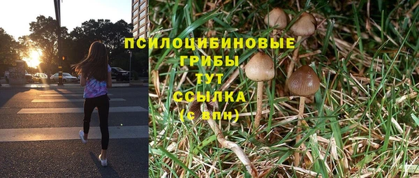 ALPHA PVP Медвежьегорск
