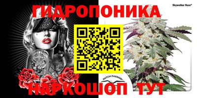 гидра Ирбит