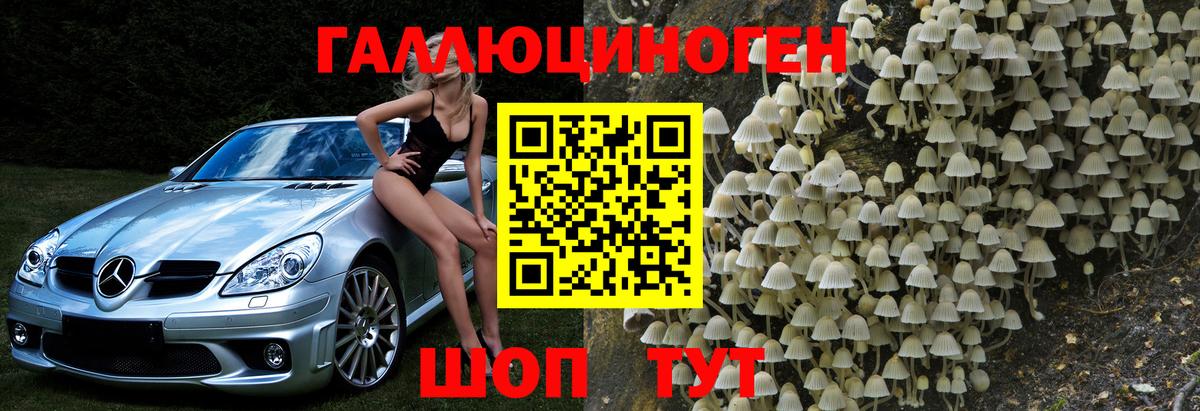 Прохладный  Галлюциногенные грибы MAGIC MUSHROOMS  Вход с VPN 