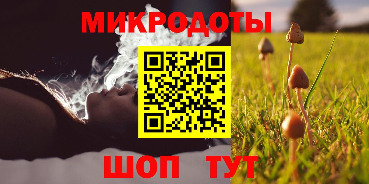 Галлюциногенные грибы прущие грибы Прохладный
